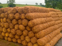 Coir Rolls