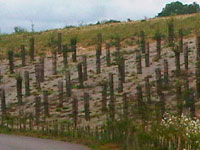 Rockmat™ Pre-Seeded