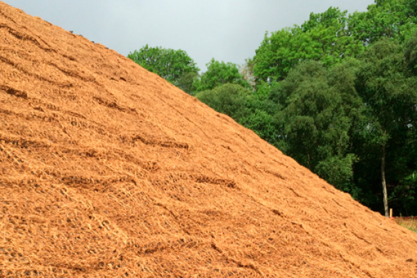geocoir-17B465E9B-1D59-FA9C-1B78-5967CFECEA37.png