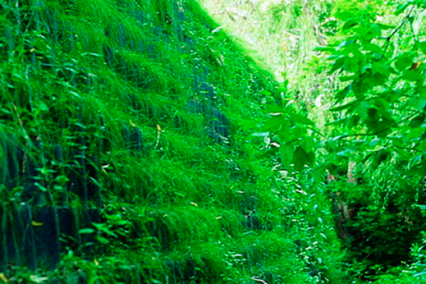 geoweb-earth-retention-151D15265-844F-3FA0-F603-88DE51D8D43A.png