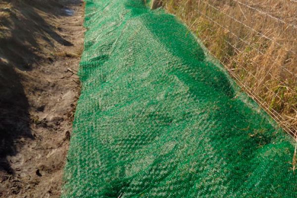 green-mat-13A2C64DA-B804-8AD0-A10D-5C0DB57B08EA.jpg