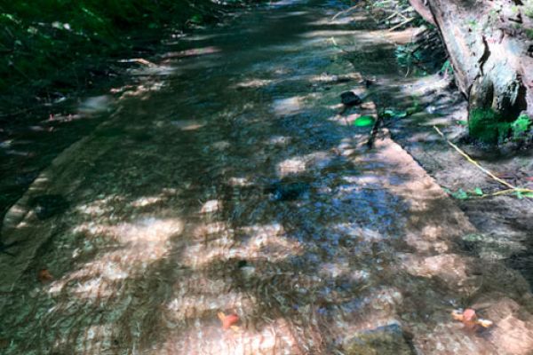 rivermat-1C46A7D74-A112-9909-0F4C-7CC698201477.jpg