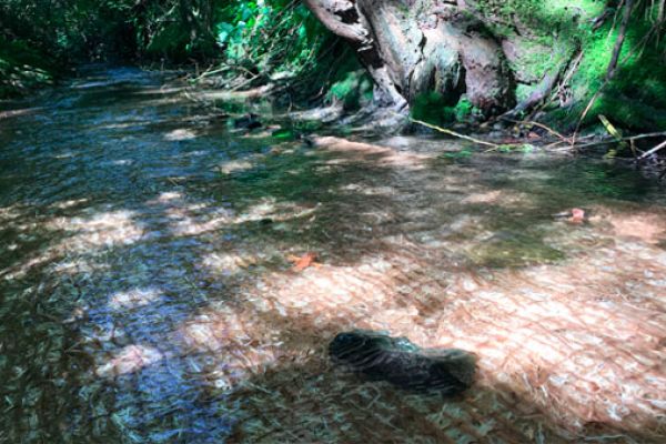 rivermat-3DB41BBEF-5974-20F8-F518-1B75B01B7D92.jpg
