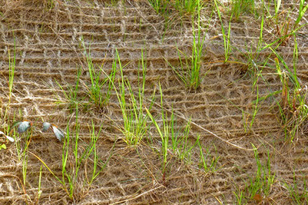 embankment-mat-157ABD0AE-29E3-7C63-F47E-AC56A4587E29.png