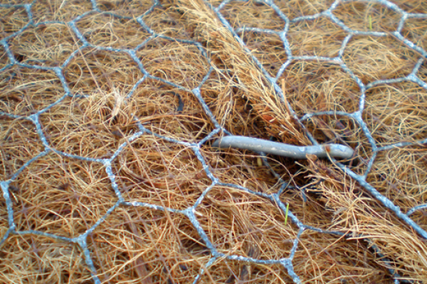 rockmat-1EF4FE373-F9F1-96F5-7F54-F179962EAD6D.png